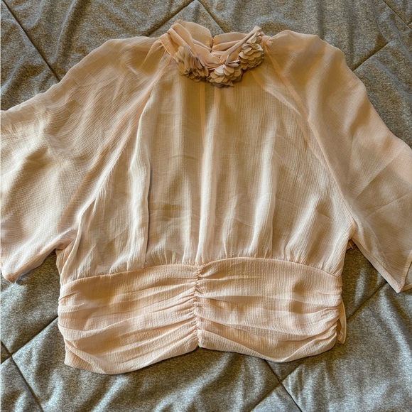 Zara Top Large 3D‎ Pink Chiffon Crop Flower Detail - Picture 1 of 5